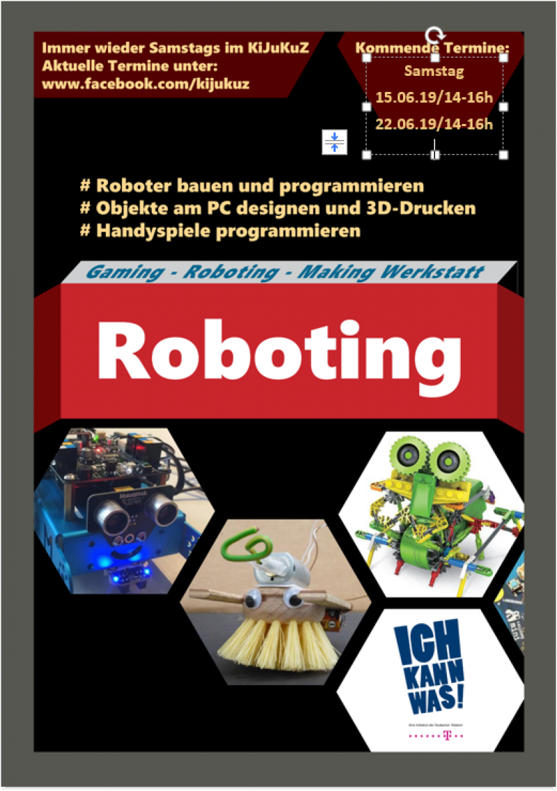 Robotingflyer