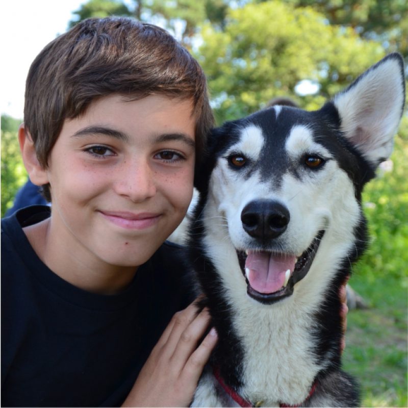 Huskycampwerbung
