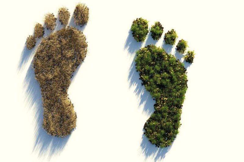 Ecological footprint